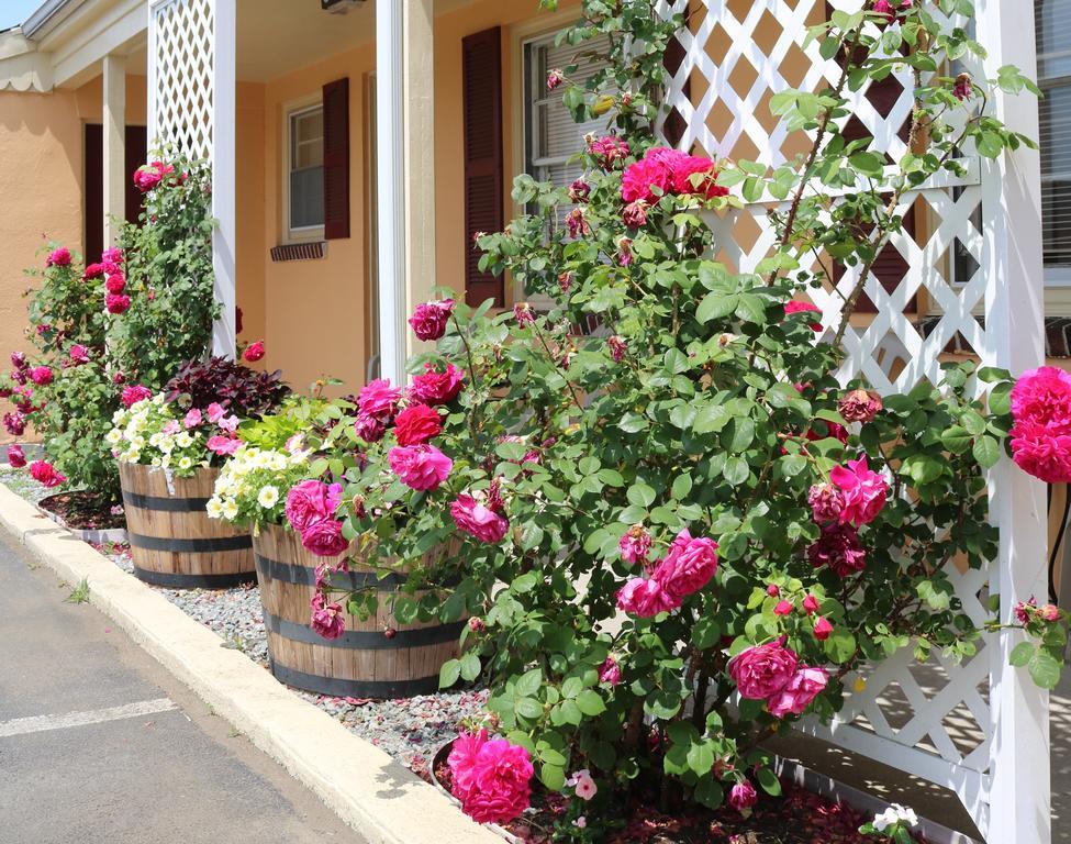 The Bay Willows Inn Middletown Luaran gambar